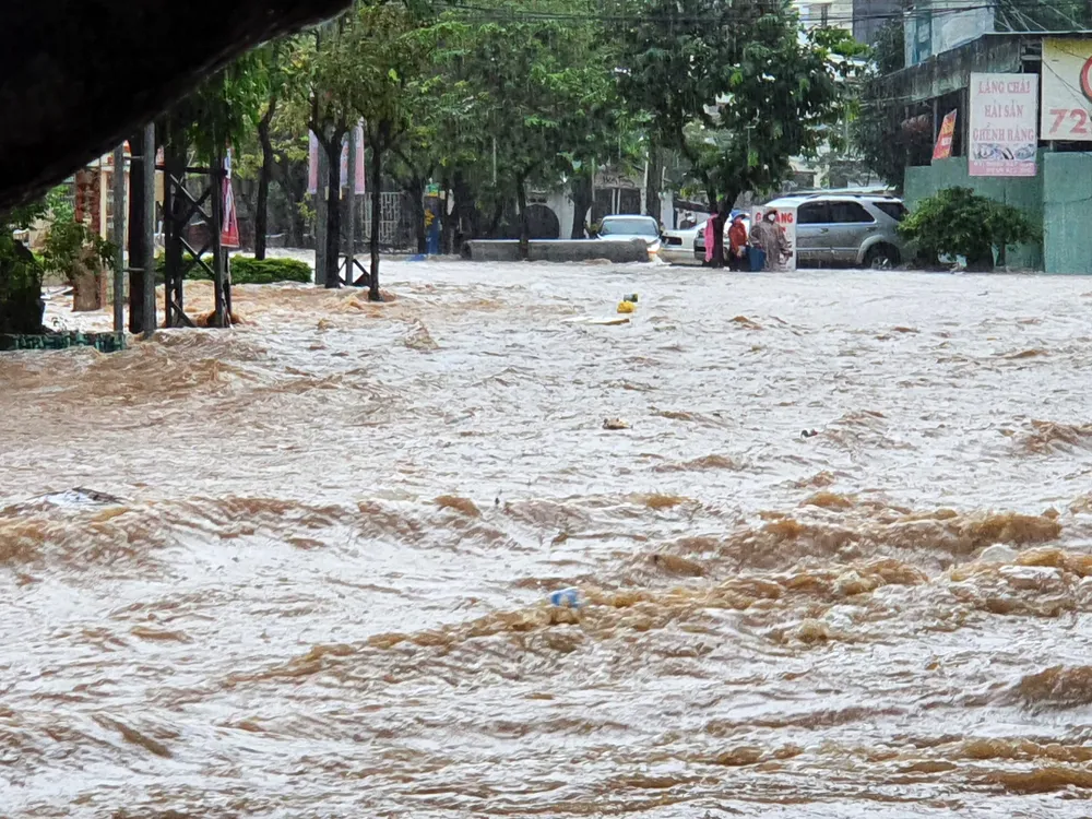  Bình Định: Mưa lớn khiến TP Quy Nhơn ngập nặng  ảnh 4