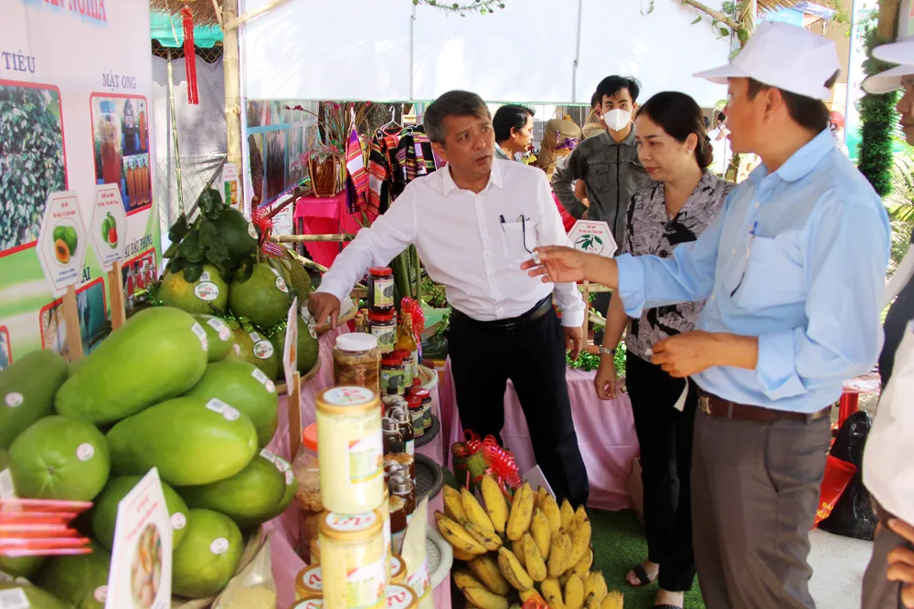 Sản phẩm nông nghiệp Hoài Ân hầu hết được gắn nhãn mác, nguồn gốc
