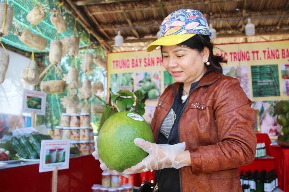 Bưởi Hoài Ân nổi tiếng thơm ngon