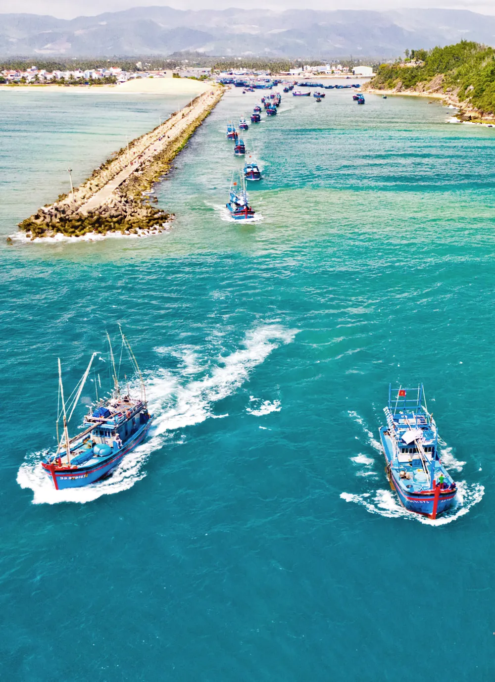 Đội tàu cá Hoài Nhơn mở biển vươn khơi đầu năm. Ảnh: QUIN QUIN (Ảnh tư liệu) Đội tàu cá Hoài Nhơn mở biển vươn khơi đầu năm. Ảnh: QUIN QUIN (Ảnh tư liệu)