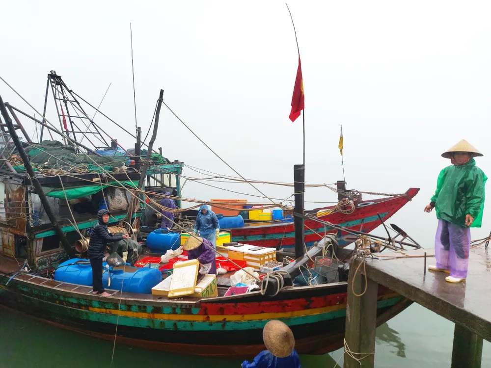 Ngư dân Hà Tĩnh nỗ lực đánh bắt sát Tết Nguyên Đán. Ảnh: DƯƠNG QUANG Ngư dân Hà Tĩnh nỗ lực đánh bắt sát Tết Nguyên Đán. Ảnh: DƯƠNG QUANG
