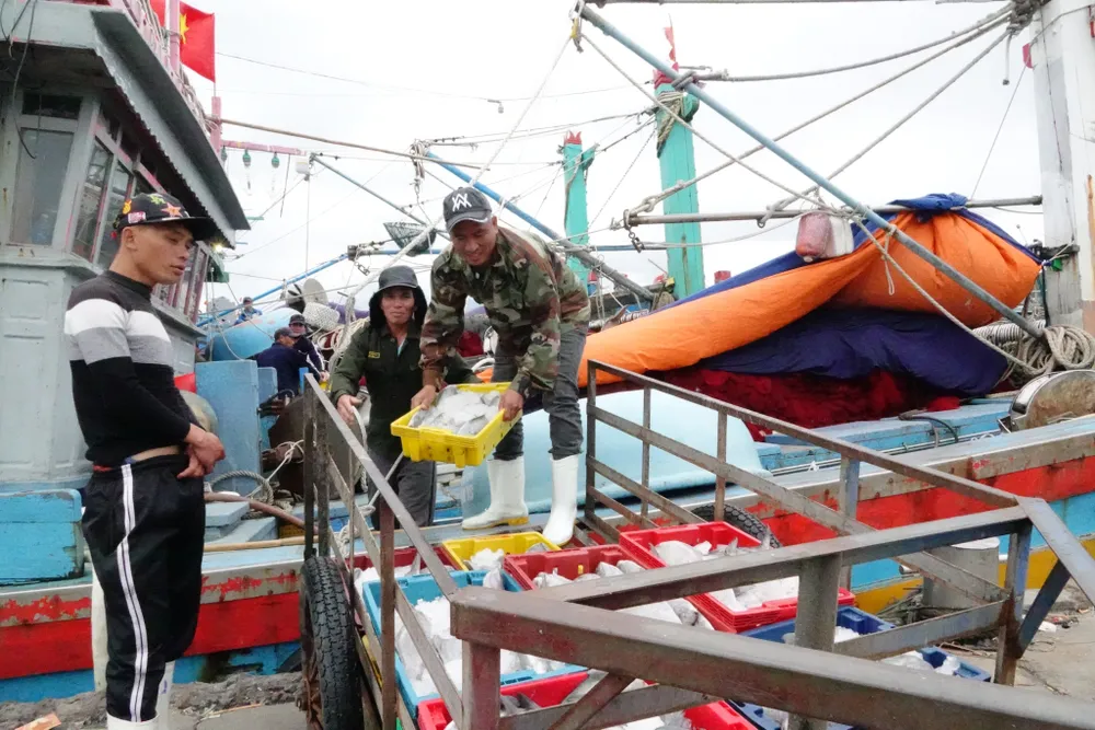 Ngư dân vào cảng cá Thọ Quang bán hải sản cuối năm. Ảnh: XUÂN QUỲNH Ngư dân vào cảng cá Thọ Quang bán hải sản cuối năm. Ảnh: XUÂN QUỲNH