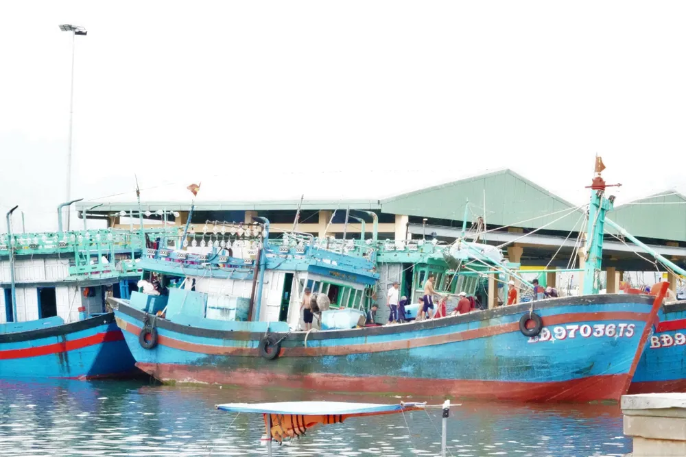 Ảnh: XUÂN QUỲNH Ảnh: XUÂN QUỲNH