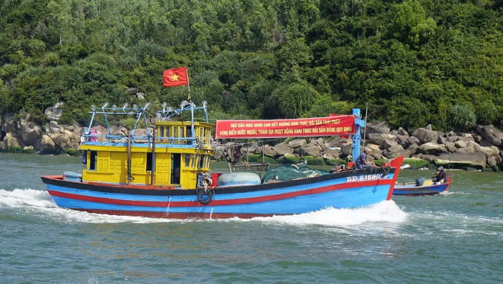 Tàu cá Hoài Nhơn phấn đấu ra khơi không vi phạm quy định IUU, đánh bắt có trách nhiệm, đúng quy định