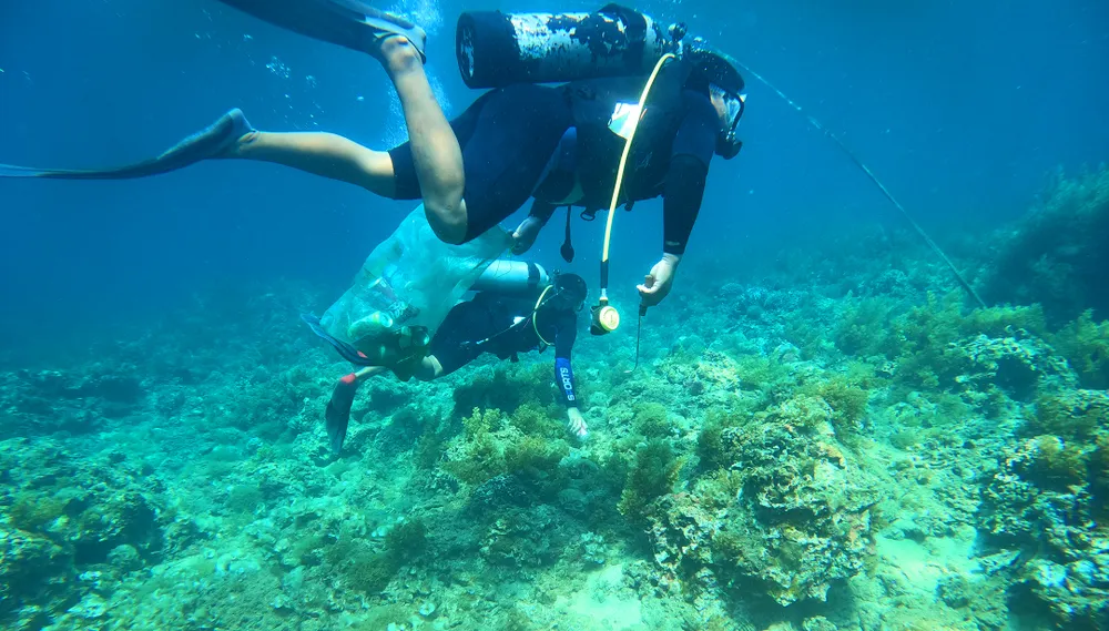 Thành viên tổ bảo vệ rạn san hô Nhơn Hải lặn nhặt rác đáy biển bảo vệ san hô