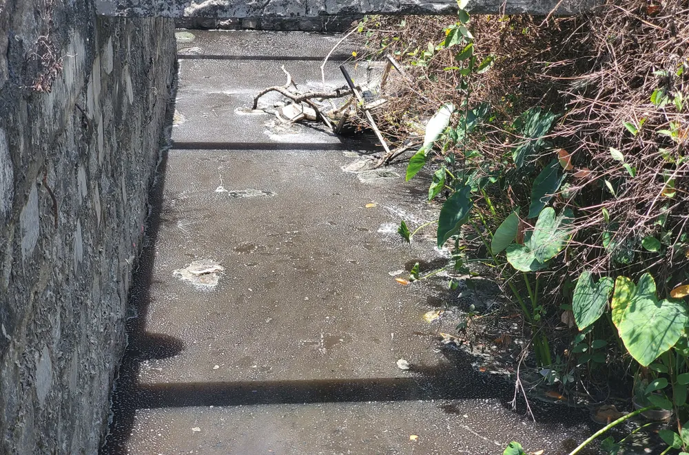 Cả mương thoát nước có màu sẫm sủi bọt trắng xóa bên nhà máy bia