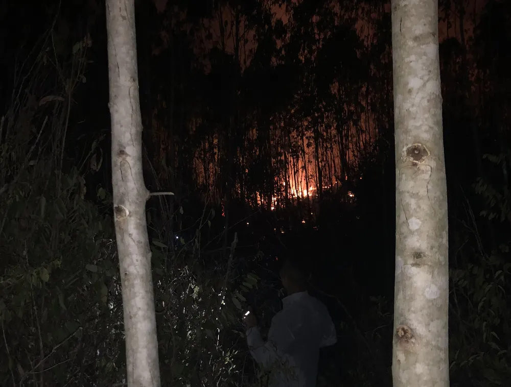 Đến 23 giờ đêm 29-8, đám cháy cơ bản được khống chế trong đường ranh cản lửa. Ảnh: HOÀNG NGUYÊN Đến 23 giờ đêm 29-8, đám cháy cơ bản được khống chế trong đường ranh cản lửa. Ảnh: HOÀNG NGUYÊN