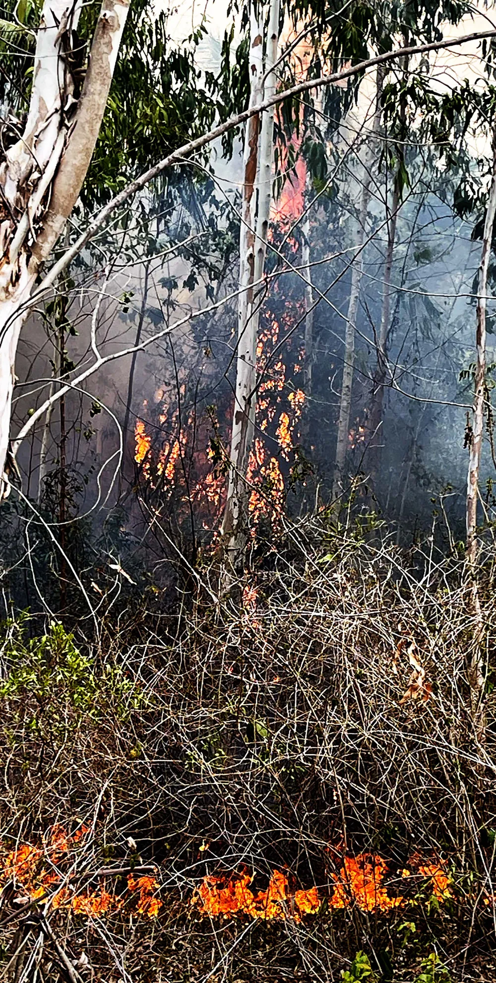 Đám cháy bùng phát vào trưa 29-8. Ảnh: HOÀNG NGUYÊN Đám cháy bùng phát vào trưa 29-8. Ảnh: HOÀNG NGUYÊN