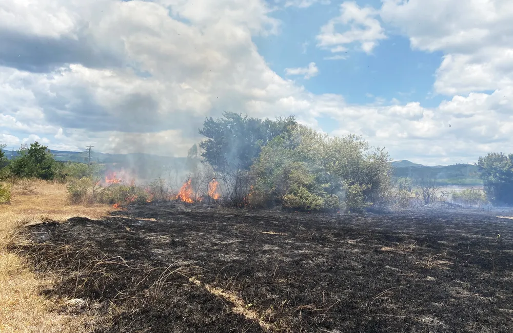 Hiện trường vụ cháy thực bì ở rừng trồng núi Chóp Vung vào ngày 3-9. Ảnh: HOÀNG NGUYÊN