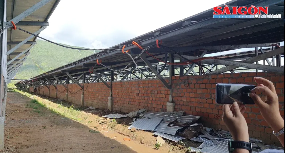 Điện mặt trời giăng kín dự án nông nghiệp trồng trọt ở Phú Yên. Ảnh: PHƯƠNG ĐÔNG