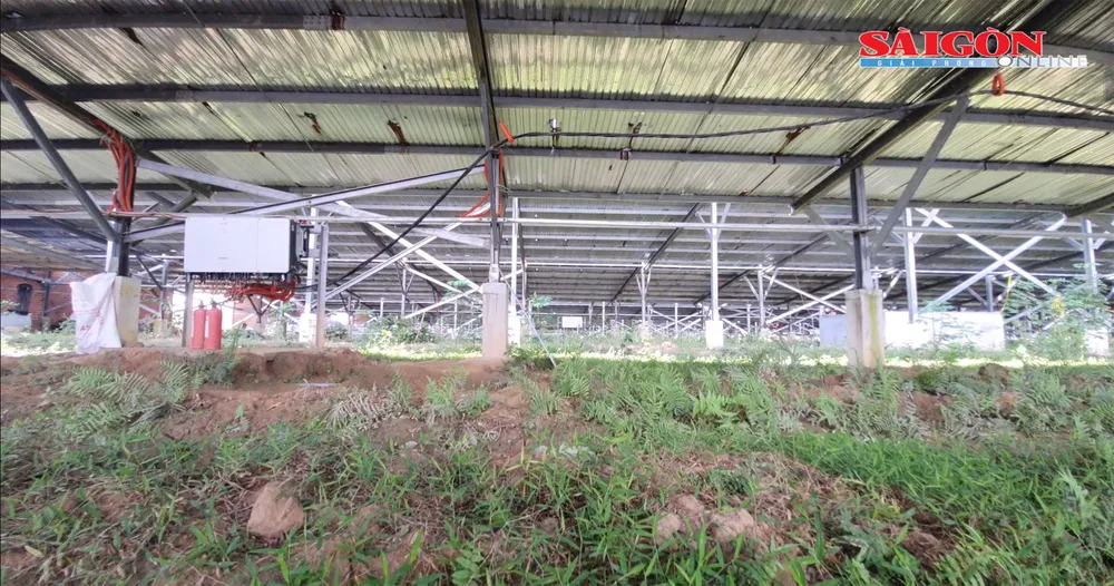 Núp bóng dự án nông nghiệp, trại điện mặt trời áp mái giăng kín ở Phú Yên. Ảnh: PHƯƠNG ĐÔNG