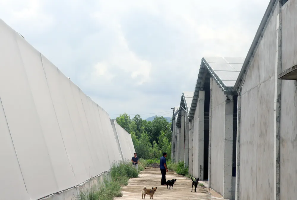 Dự án nông nghiệp của Công ty TNHH Nam Việt Hưng dày đặt mái pin ĐMT xây dựng kiên cố