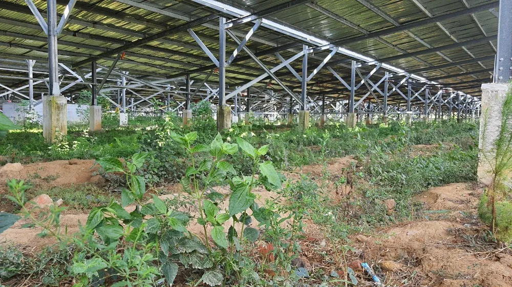 Hệ thống điện mặt trời lắp đặt trên diện tích lớn tại dự án nông nghiệp Công ty TNHH Fam Việt