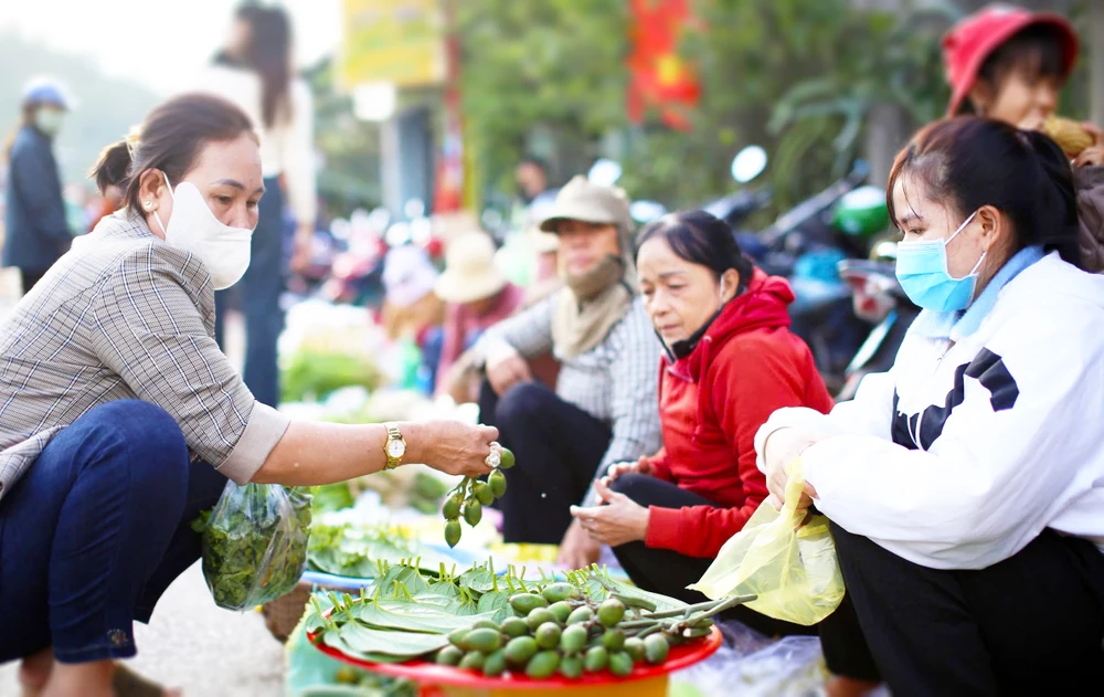 Chợ Gò là lễ hội ăn sâu vào văn hóa, đời sống người dân phía Nam tỉnh Bình Định z6272512324983_282a6ab2757dd4d55a521d80a82743c8.jpg