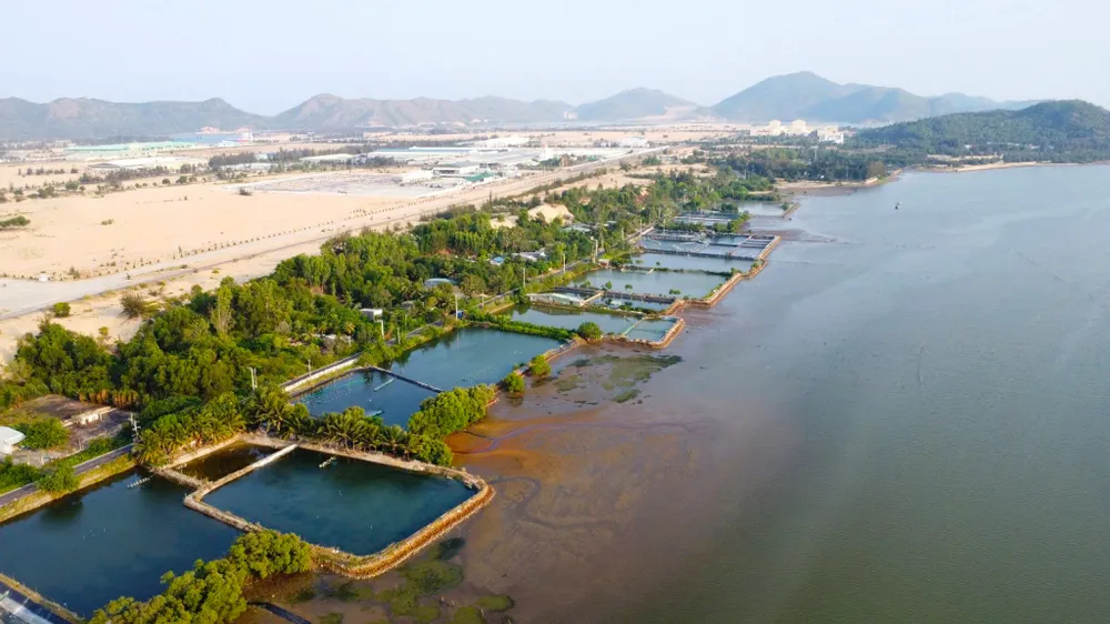 Khu vực dự án khu vui chơi giải trí Đầm Thị Nại đã được thu hồi z6736885318265_0a86285b698556a8061ba2d265f55b13.jpg