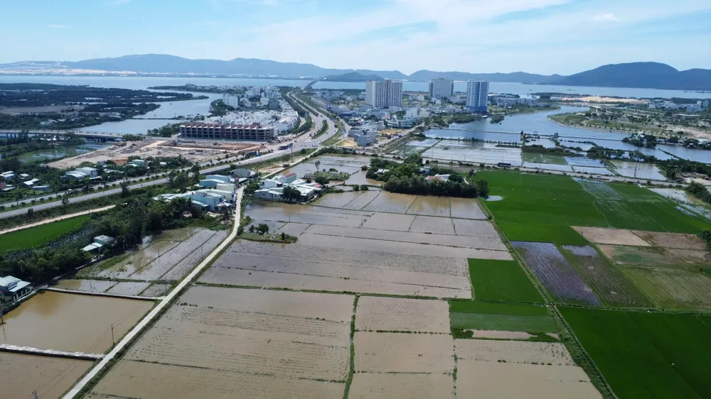 Mặt trái và hệ lụy việc quy hoạch, phát triển đô thị "da báo" đang bộc lộ rõ ở ven Quy Nhơn z6773371895656_fce6e98f9046272e41108025d0ea09b6.jpg