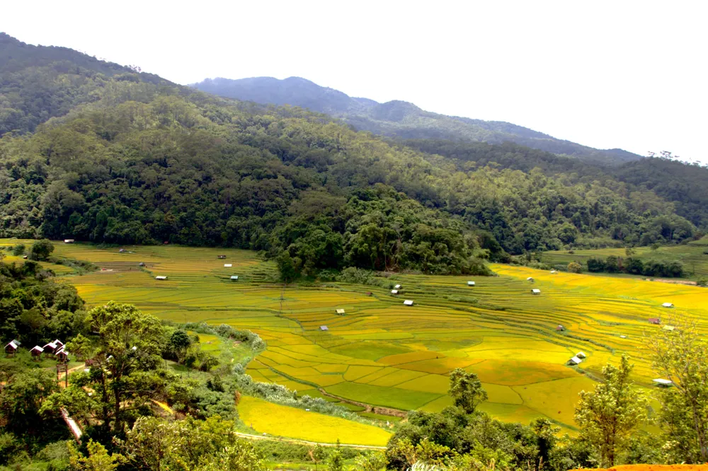 Hệ thống ruộng bậc thang Kon Tu Rằng thơ mộng như "nàng thơ của núi" 6.2.jpeg
