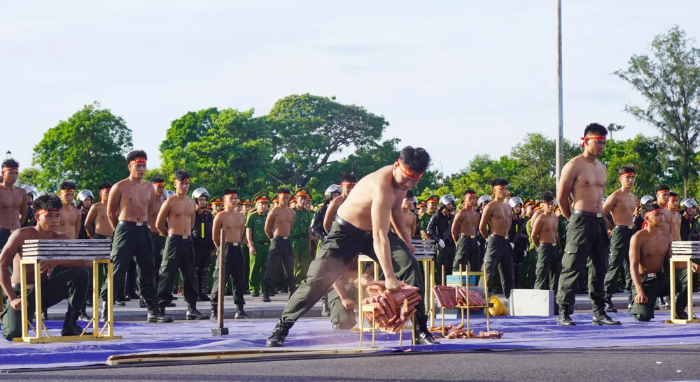 Nắm đấm cảnh sát cơ động vỡ nhiều lớp ngói DSC01229.jpg