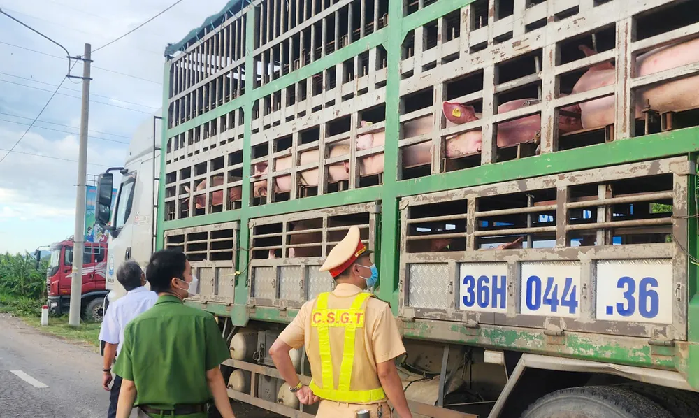 Lực lượng chức năng dừng phương tiện để kiểm tra z6831658899908_a9a62be5bd9e55b0a73b5352400e578f.jpg