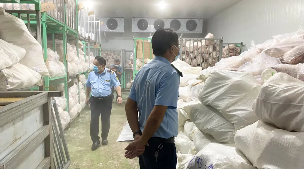 Phát hiện hơn 100 tấn thịt heo không rõ nguồn gốc ở cơ sở ông Hướng. Ảnh: XUÂN HUYÊN 2 (3).jpg