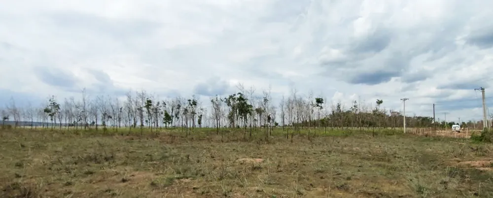 Hơn 25.500ha cao su nhưng chỉ còn 30% sống sót nhưng dần teo tóp z7045264953162_16b741a287640818515151efc6d6ea92.jpg