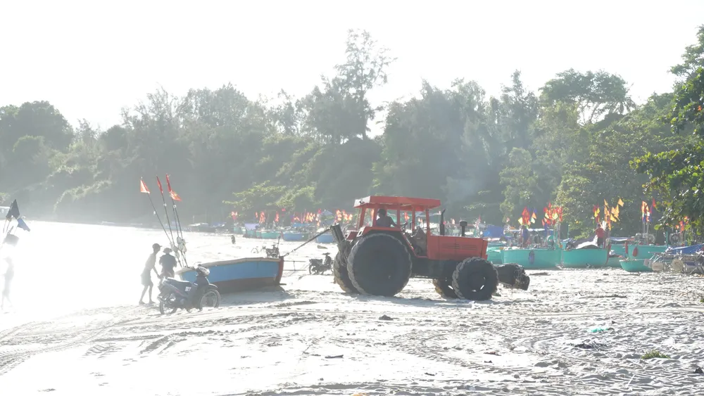 Ngư dân làng biển Tân Phụng dùng máy kéo đưa thuyền thúng lên bờ neo cột DSC08571.JPG