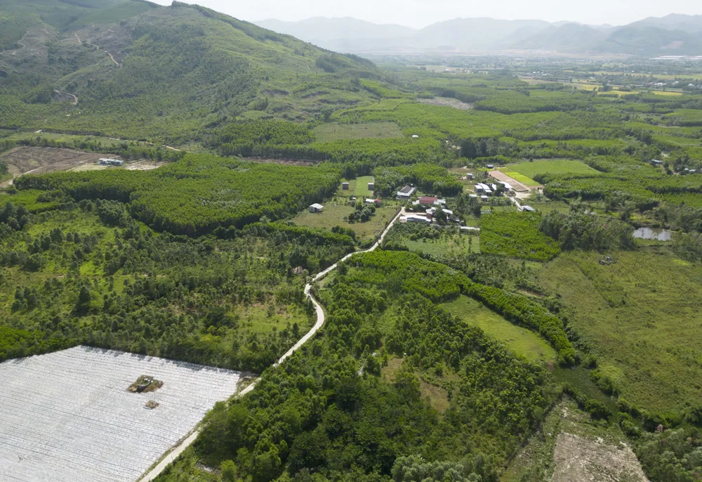 Gia Lai sẽ chuyển đổi 80ha đất rừng phục vụ 7 dự án phát triển kinh tế - xã hội DJI_0231.jpg