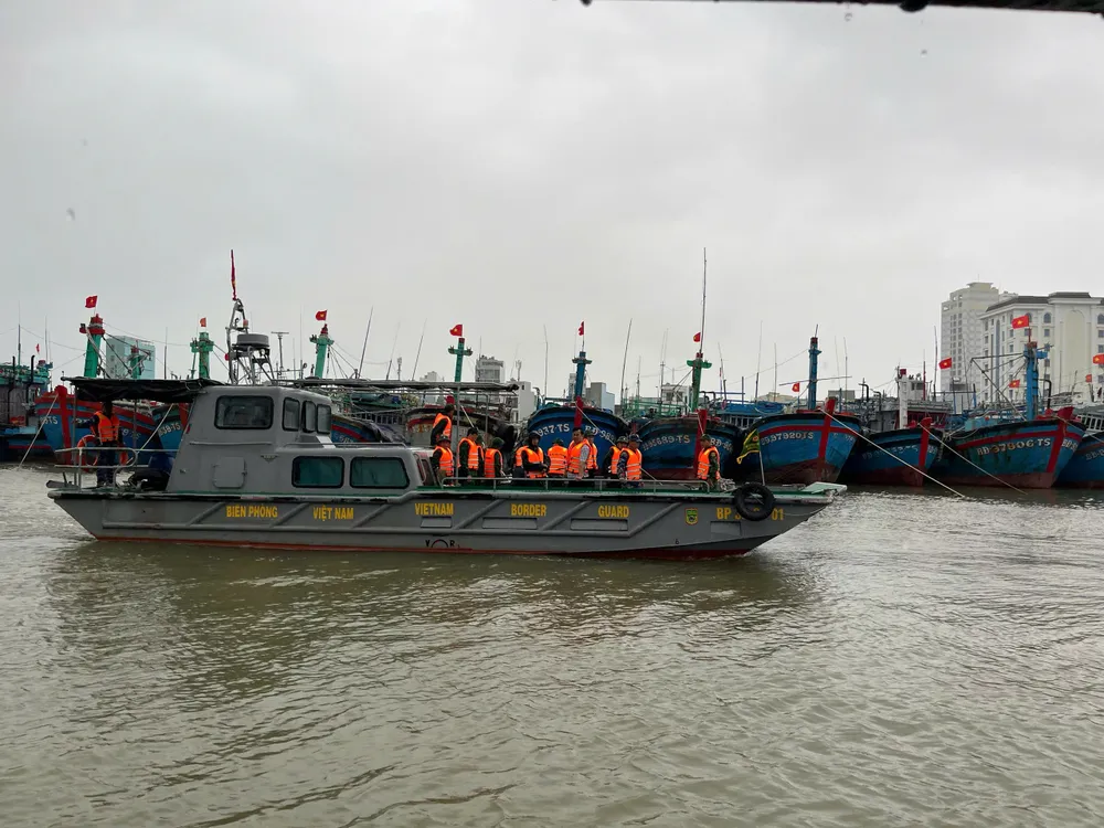 Tuần tra, kiểm tra tàu thuyền ở cảng Quy Nhơn