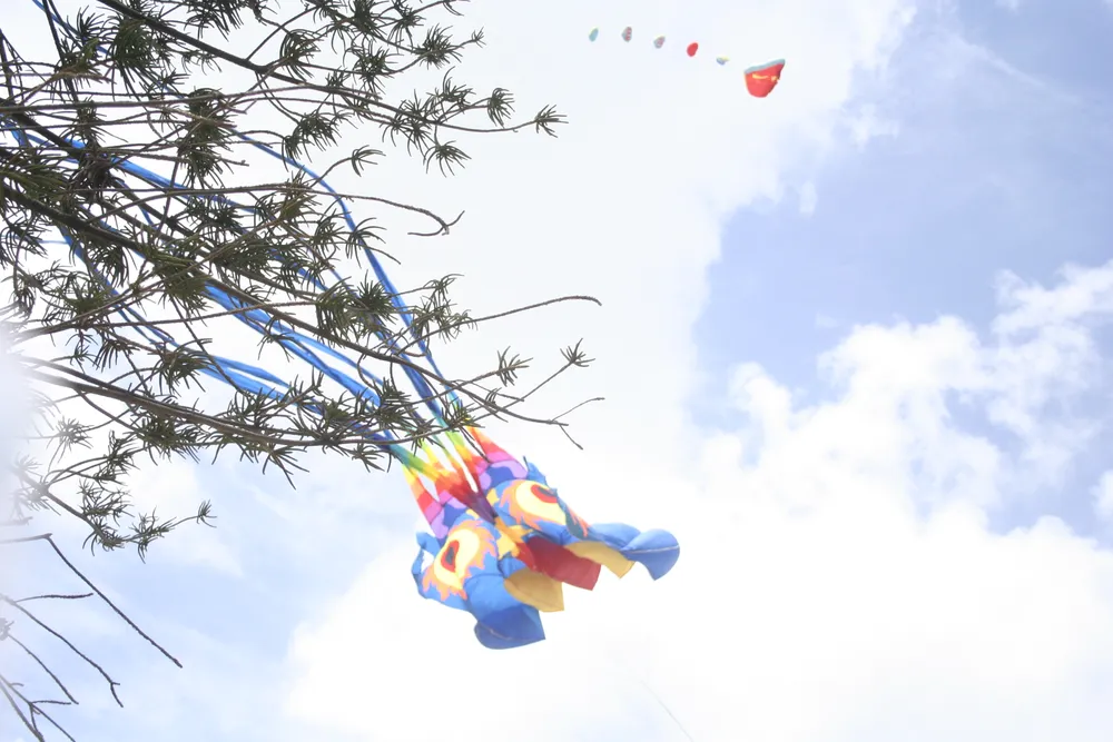 Rực rỡ những cánh diều hè ảnh 9