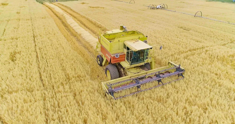 Dòng Nutrilite Protein đạt danh hiệu Thực phẩm bổ sung Protein bán chạy số 1 thế giới ảnh 1