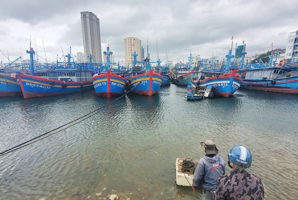 Nhiều tàu cá vào neo đậu, tránh trú bão ở âu tàu phường Hải Cảng, TP Quy Nhơn, tỉnh Bình Định k4a.jpg
