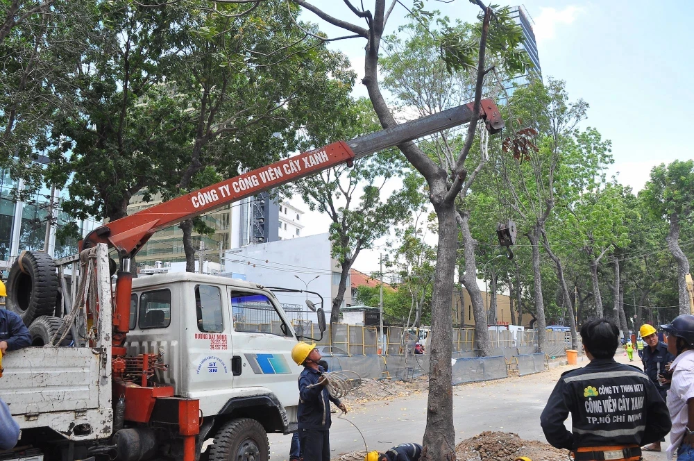 Di dời cây xanh để thực hiện dự án cầu Thủ Thiêm 2, năm 2017 H5B.jpg
