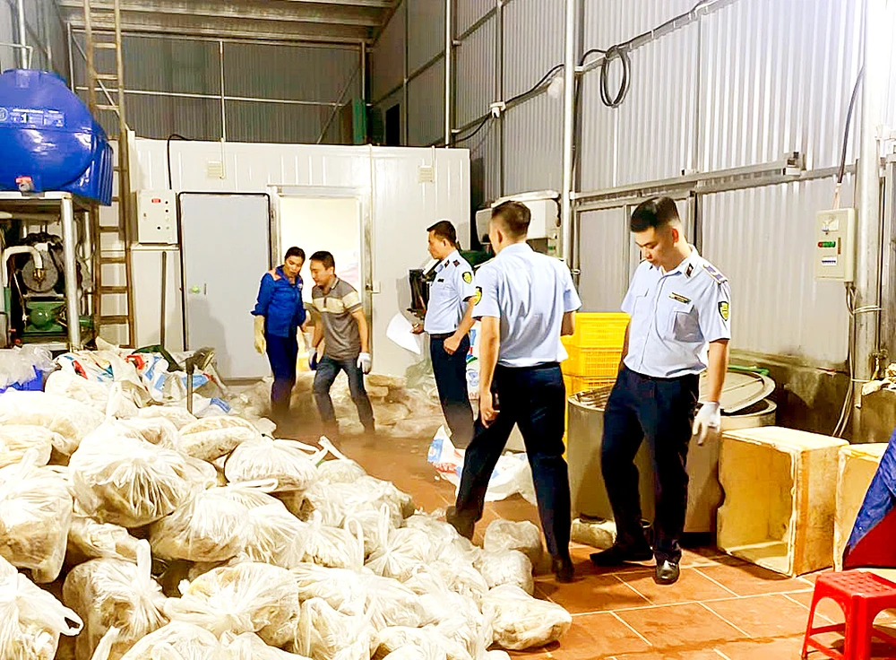 Lực lượng chức năng Hà Nội phát hiện gần 11 tấn nội tạng động vật bốc mùi hôi thối chuẩn bị tuồn ra thị trường dịp lễ vừa qua. Ảnh: PHÚC HẬU H9a.jpg