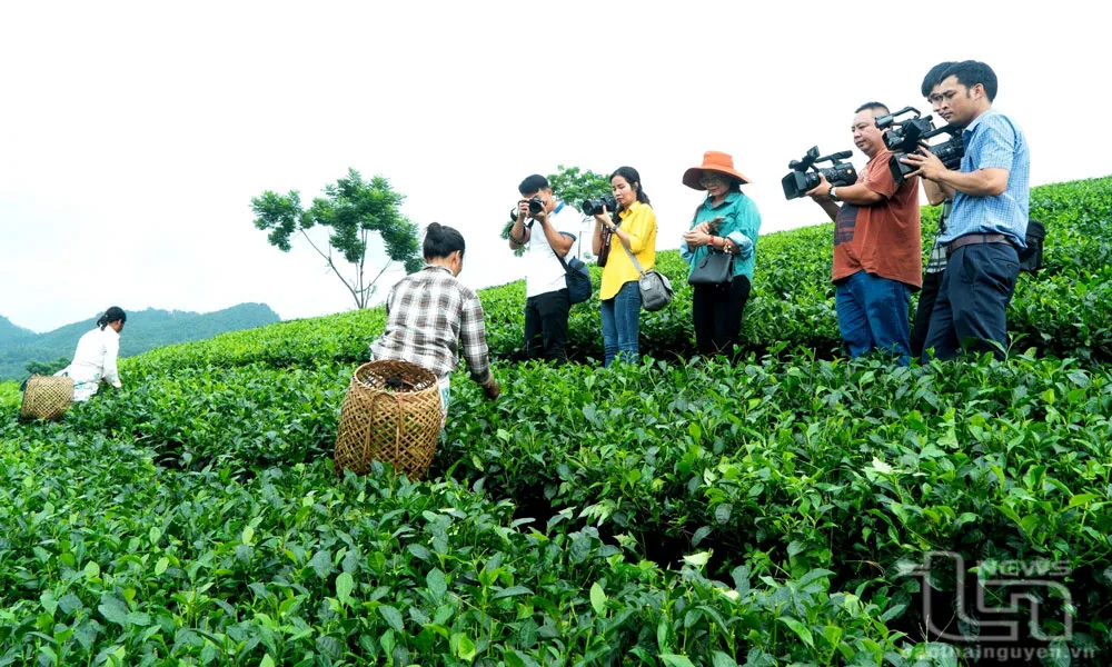 Phóng viên Báo Thái Nguyên tác nghiệp tại cơ sở. Ảnh: T.L bao-chi-thai-nguyen-3_20250620063755.jpg
