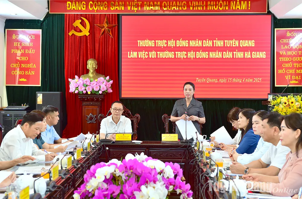 Đồng chí Lê Thị Kim Dung, Phó Bí thư Thường trực Tỉnh ủy, Chủ tịch HĐND tỉnh phát biểu tại buổi làm việc Đồng chí Lê Thị Kim Dung, Phó Bí thư Thường trực Tỉnh ủy, Chủ tịch HĐND tỉnh phát biểu tại buổi làm việc