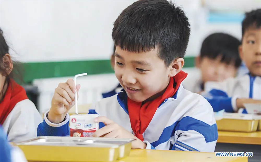 Học sinh tại tỉnh Hà Bắc uống sữa trong Chương trình sữa học đường Trung Quốc. Ảnh: XINHUA R8b.jpg