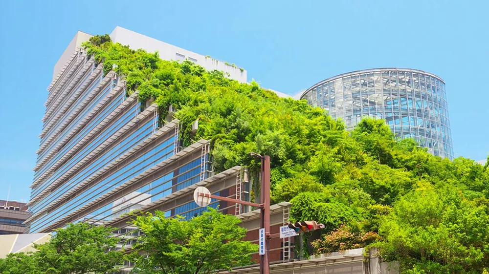 Trụ sở xanh hóa của một công ty ở Fukuoka, Nhật Bản. Ảnh: ESG U8b.jpg