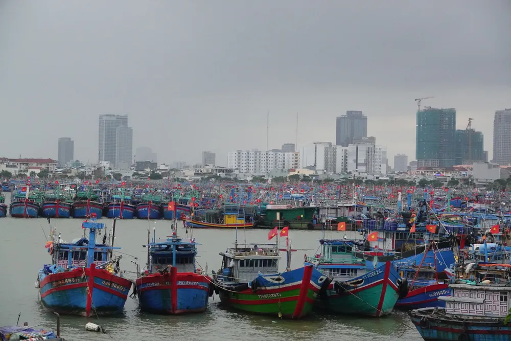 Nhiều tàu thuyền trú tránh tại âu thuyền và cảng cá Thọ Quang (phường Sơn Trà, TP Đà Nẵng). Ảnh: XUÂN QUỲNH V1e.jpg