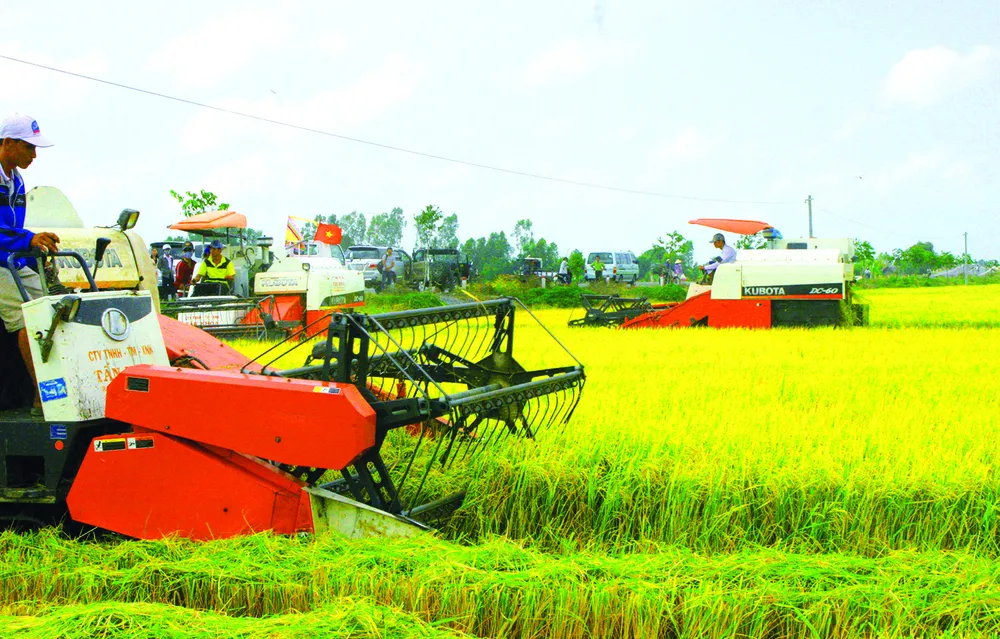 Nông dân ĐBSCL sử dụng máy gặt đập liên hợp thu hoạch lúa. Ảnh: CAO PHONG $1m.jpg