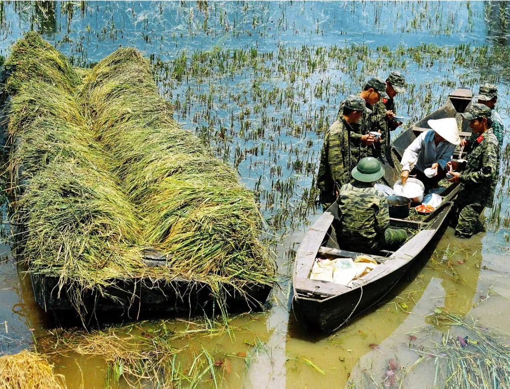 Ajudando as pessoas a colher arroz para escapar das inundações na província de Tay Ninh !5b.jpg