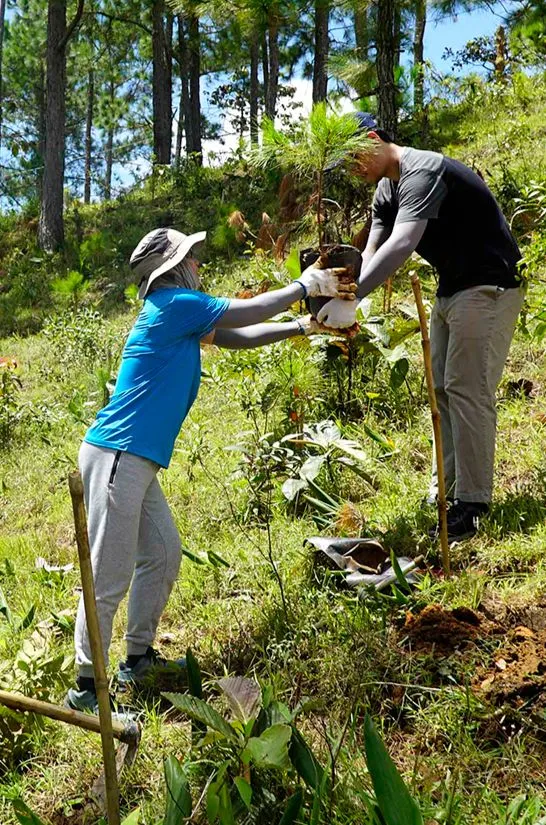 Du lịch gắn với hoạt động trồng cây phủ xanh thêm cho rừng Tà Năng