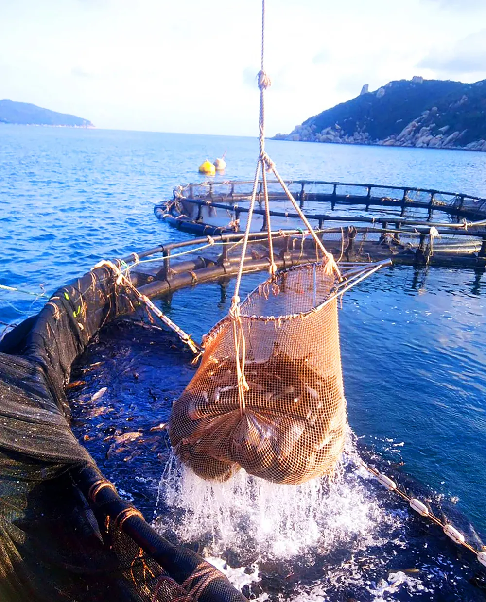 PSA Anh21-ẢNH 14  (2).jpg