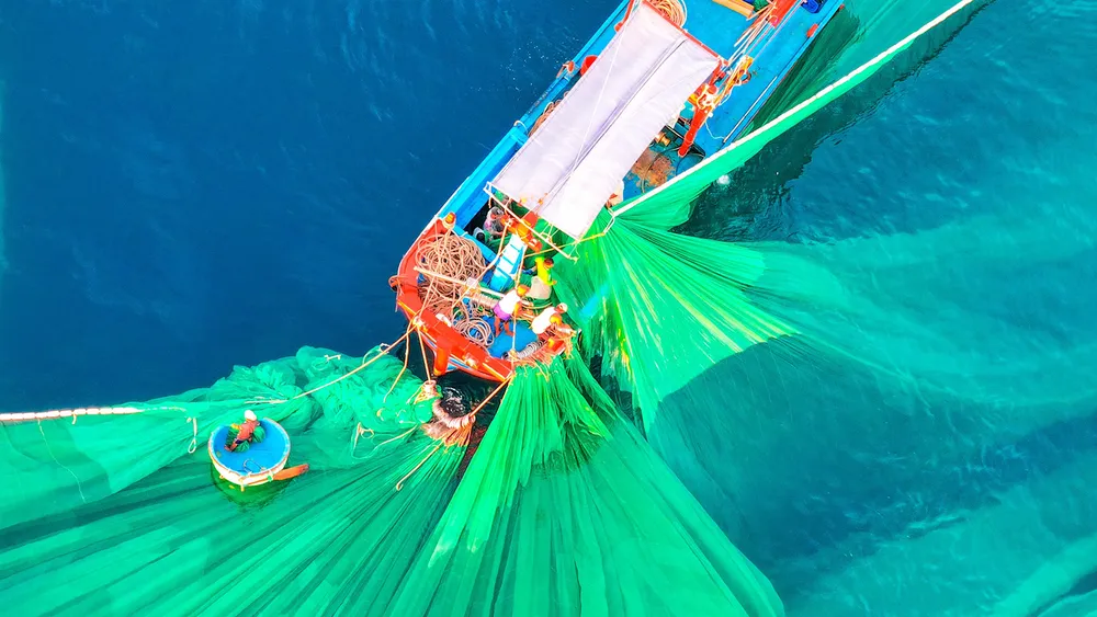 PSA Anh9-ẢNH 6 (2).jpg