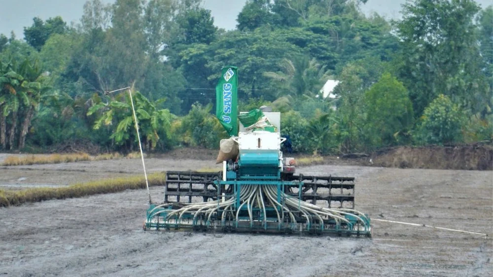 Nông dân huyện Vĩnh Thạnh, TP Cần Thơ xuống giống thí điểm vụ lúa thu đông thực hiện đề án 1 triệu ha lúa chất lượng cao