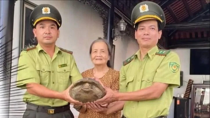 Bà Song tự nguyện giao nộp cá thể rùa sen vàng quý hiếm để cơ quan chức năng thả về tự nhiên fb-img-1724798793597.jpg