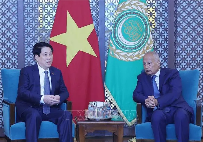 Chủ tịch nước Lương Cường gặp Tổng Thư ký Liên đoàn Arab Ahmed Aboul Gheit. Ảnh: TTXVN IMG_0581.jpeg