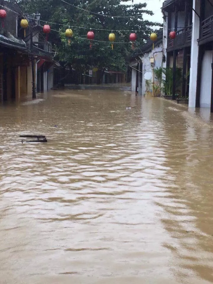 Lũ tại thành phố Hội An diễn biến phức tạp ảnh 1
