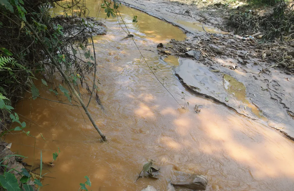 Ráo riết tìm nguyên nhân cá chết hàng loạt trên sông Bồng Miêu ảnh 3