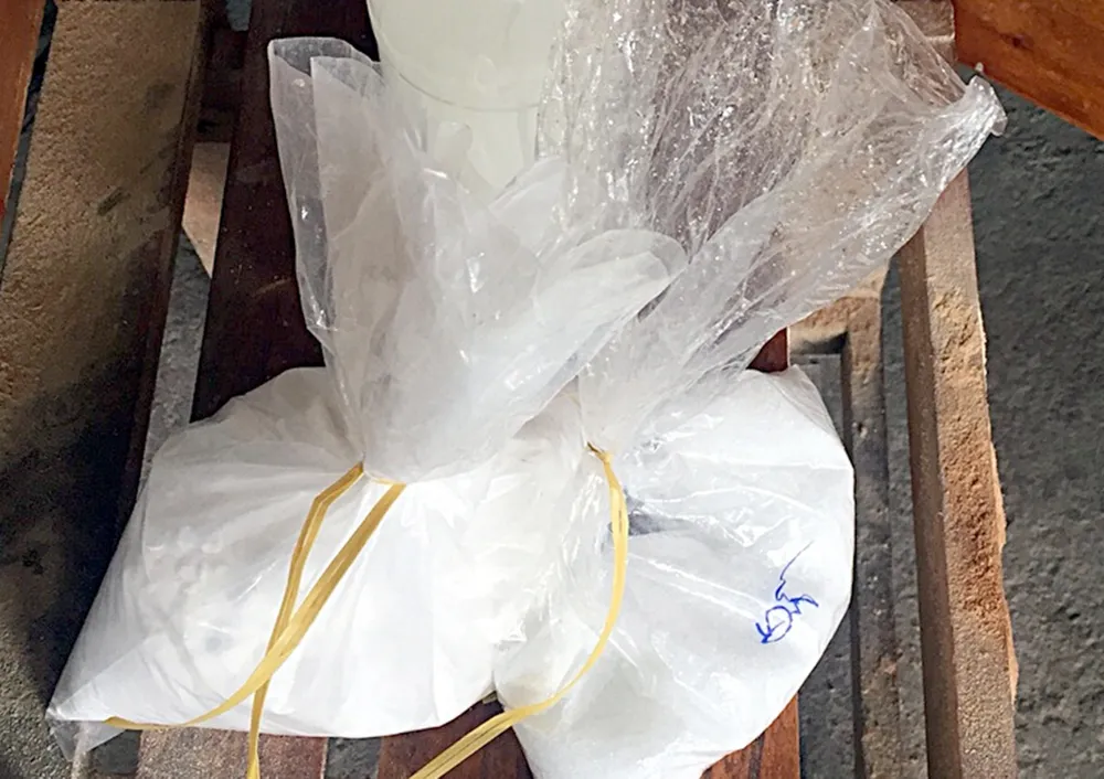 Phạt 60 triệu đồng doanh nghiệp dùng hóa chất tẩy trắng vỏ dừa ảnh 1