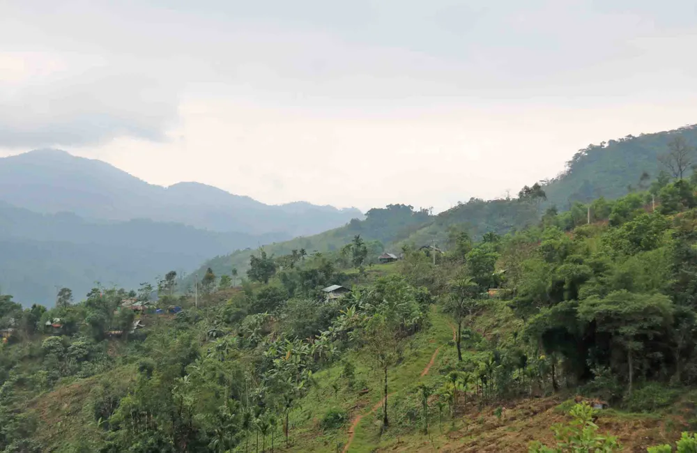 Khe Chữ một năm sau vụ sạt lở kinh hoàng ảnh 6